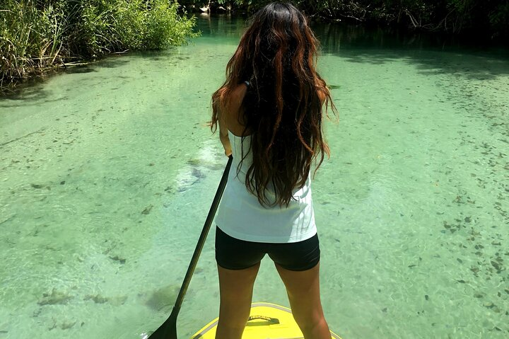 Nature and racoon island Paddle Boarding Experience in Miami - Photo 1 of 10